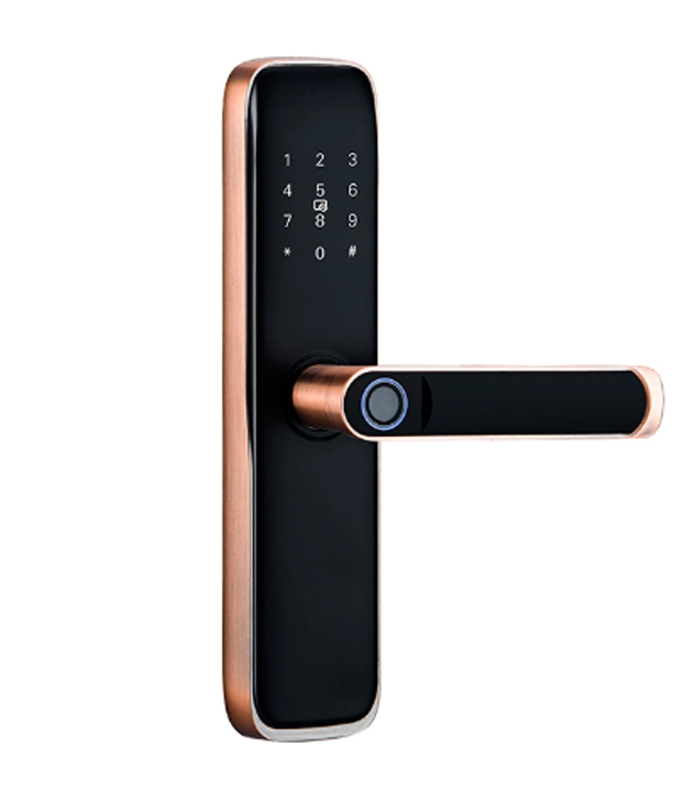 Khoá thông minh Keylock W68